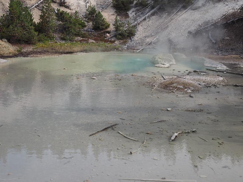 Yellowstone National Park, Wyoming (WY): Norris Geyser Basin: Monarch Geyser, slight bubbling