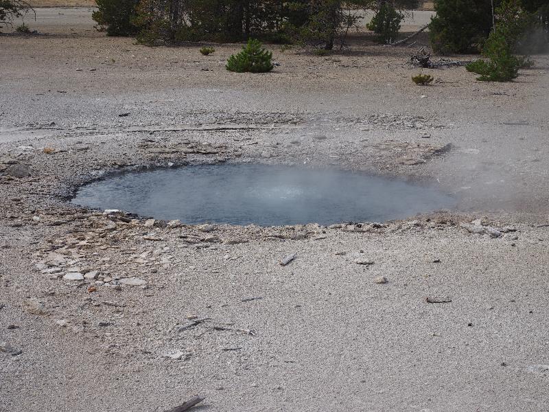 Yellowstone National Park, Wyoming (WY): Norris Geyser Basin: Fearless Geyser, slight bubbling