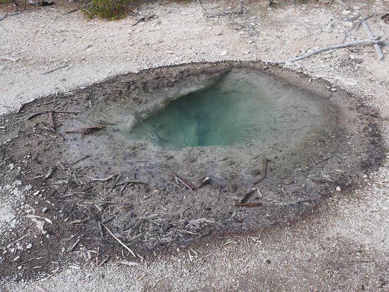 Yellowstone National Park, Wyoming (WY): Norris Geyser Basin: Corporal Geyser (not spouting)