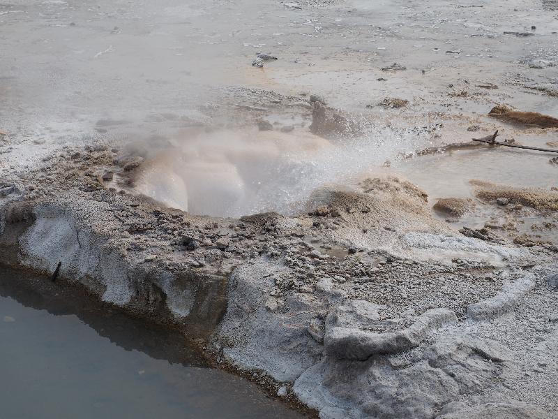 Yellowstone National Park, Wyoming (WY): Norris Geyser Basin: Veteran Geyser, side vent small spouting