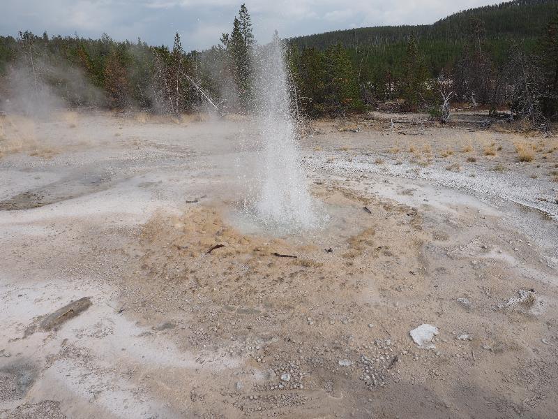 Yellowstone National Park, Wyoming (WY): Norris Geyser Basin: Vixen Geyser spouting
