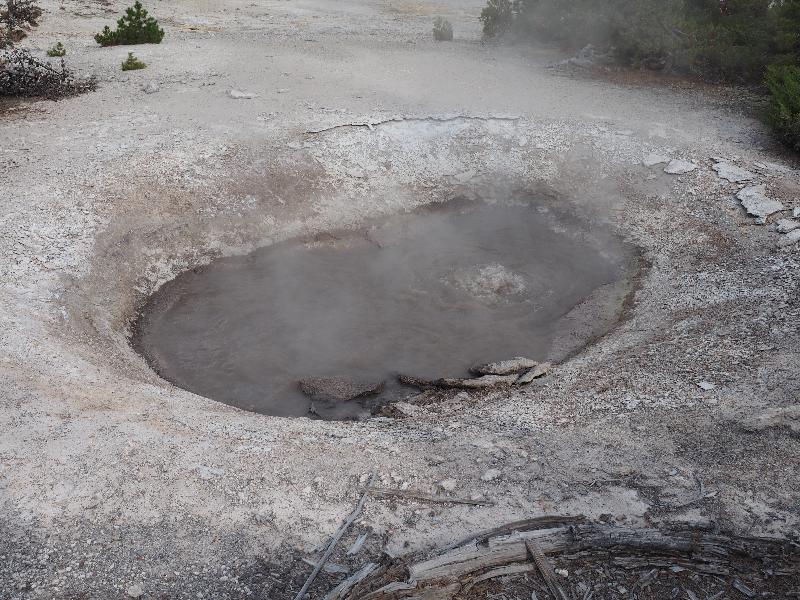 Yellowstone National Park, Wyoming (WY): Norris Geyser Basin: Yellow Funnel Spring bubbling