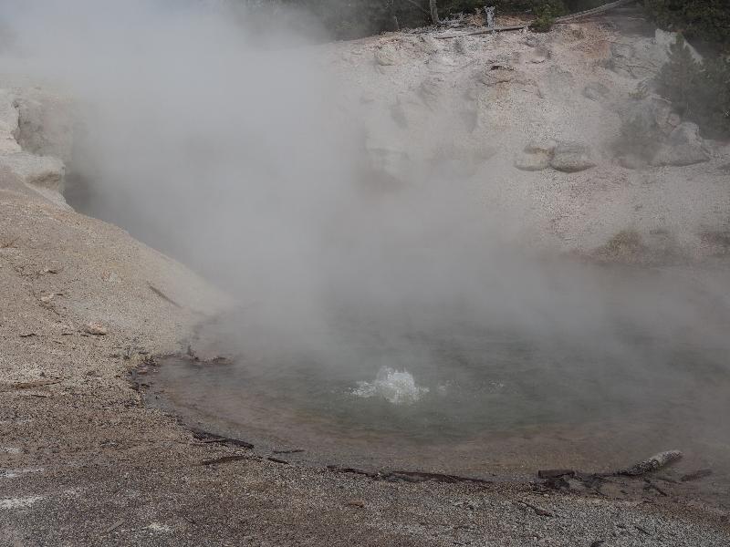 Yellowstone National Park, Wyoming (WY): Norris Geyser Basin: Green Dragon Spring bubbling