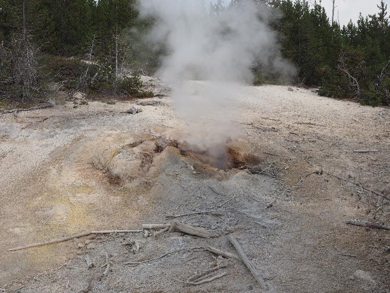 Yellowstone National Park, Wyoming (WY): Norris Geyser Basin: Puff'n Stuff Geyser steaming