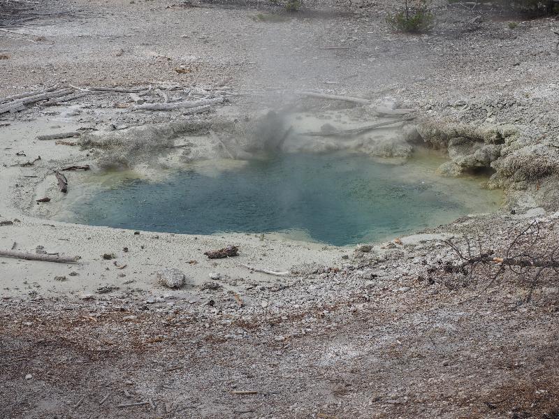 Yellowstone National Park, Wyoming (WY): Norris Geyser Basin: Mystic Spring bubbling