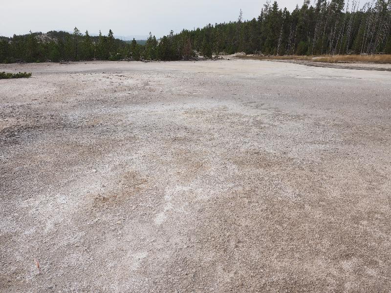 Yellowstone National Park, Wyoming (WY): Norris Geyser Basin: view of Back Basin