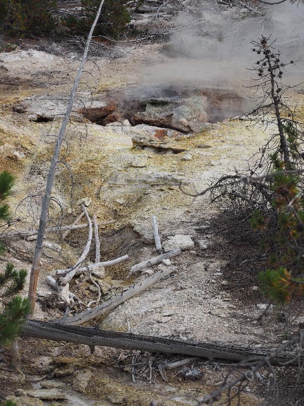 Yellowstone National Park, Wyoming (WY): Norris Geyser Basin: Arch Steam vent