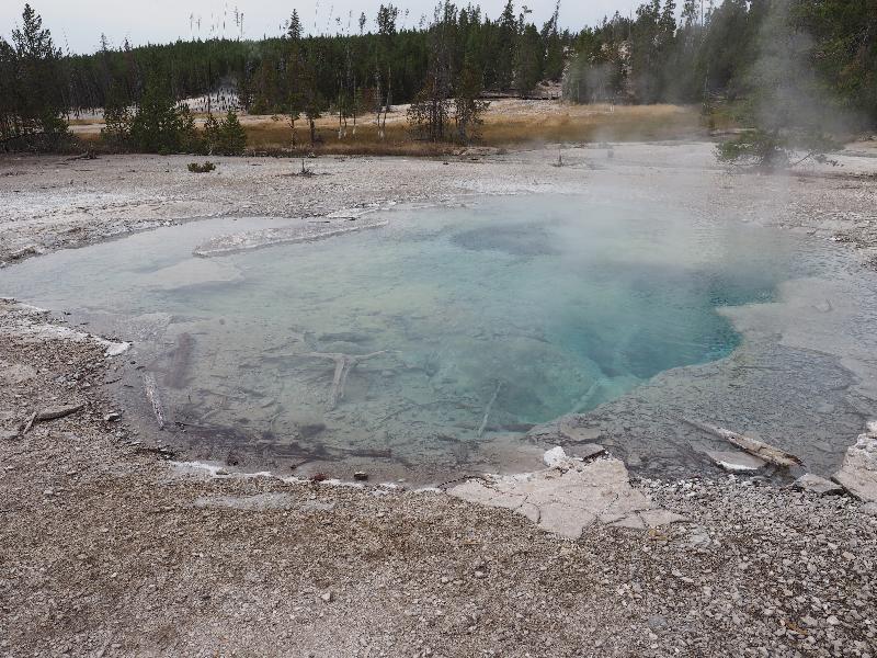 Yellowstone National Park, Wyoming (WY): Norris Geyser Basin: Crater Spring