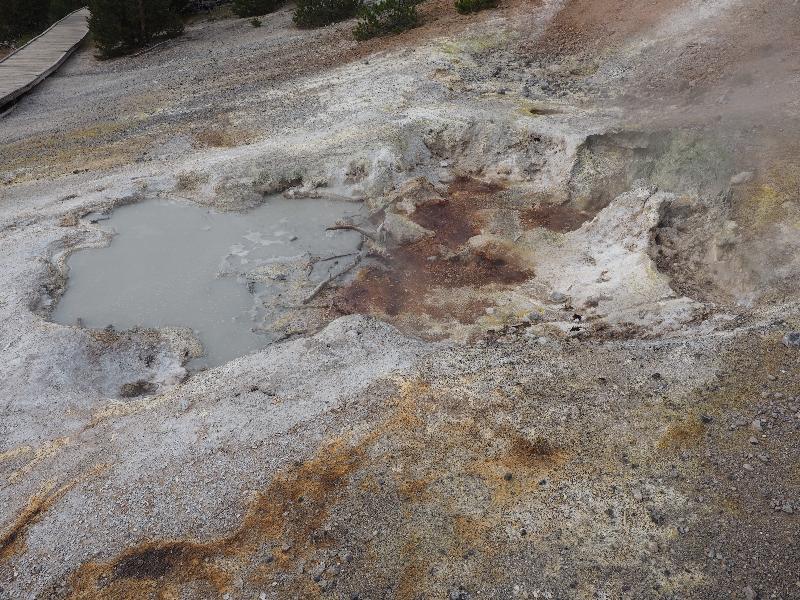 Yellowstone National Park, Wyoming (WY): Norris Geyser Basin: Black Pit Spring