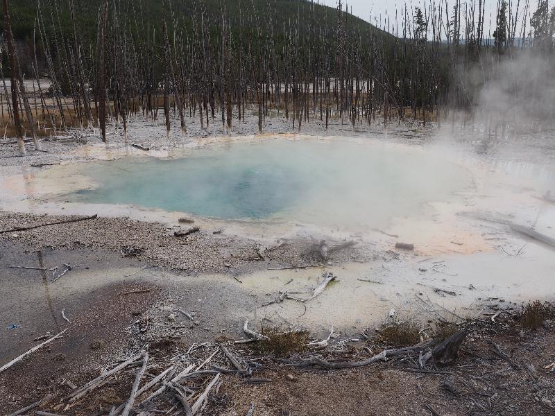 Yellowstone National Park, Wyoming (WY): Norris Geyser Basin: Cistern Spring