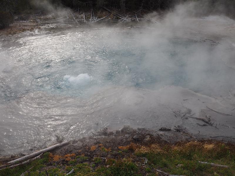Yellowstone National Park, Wyoming (WY): Norris Geyser Basin: Emerald Spring bubbling