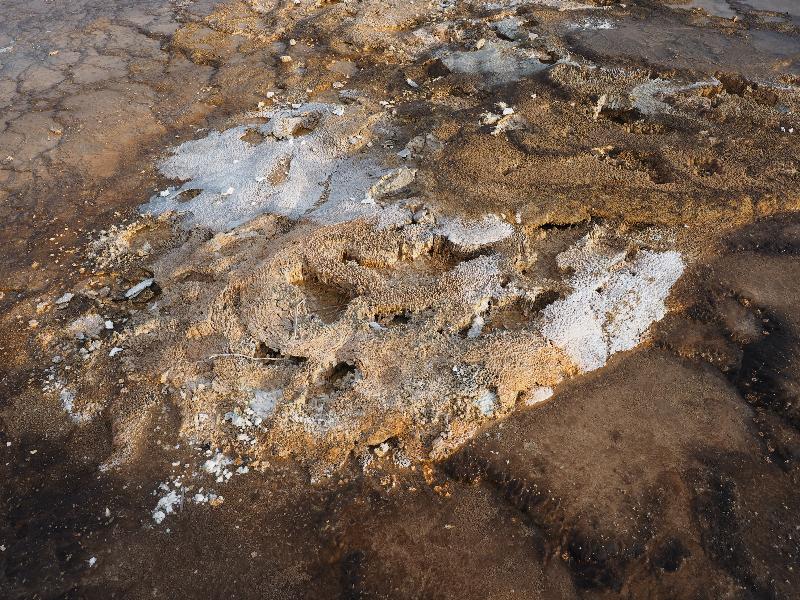 Yellowstone National Park, Wyoming (WY): Biscuit Basin: brown / white crust