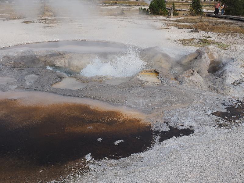 Yellowstone National Park, Wyoming (WY): Biscuit Basin: Avoca Spring bubbling