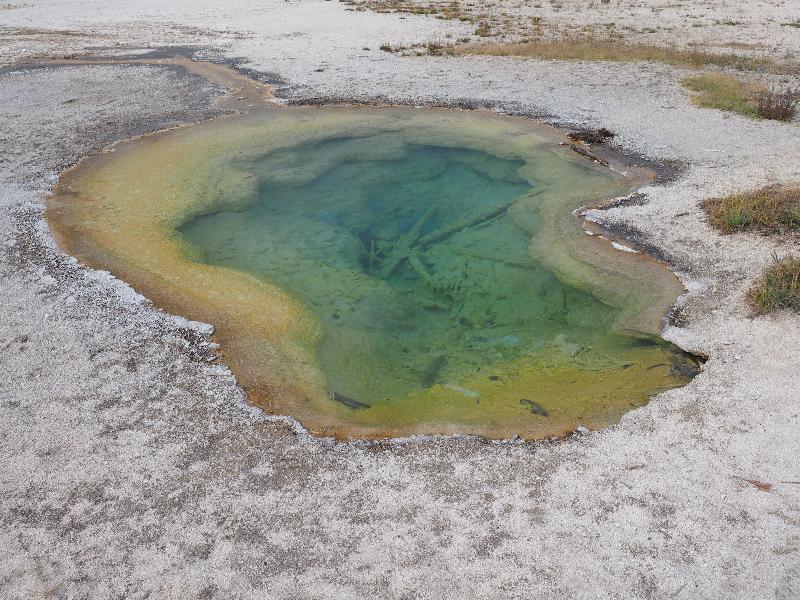 Yellowstone National Park, Wyoming (WY): Biscuit Basin: West Geyser (not spouting)