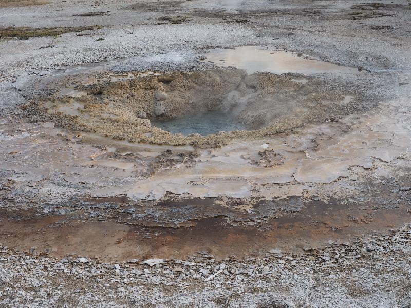 Yellowstone National Park, Wyoming (WY): Biscuit Basin: Mustard Spring