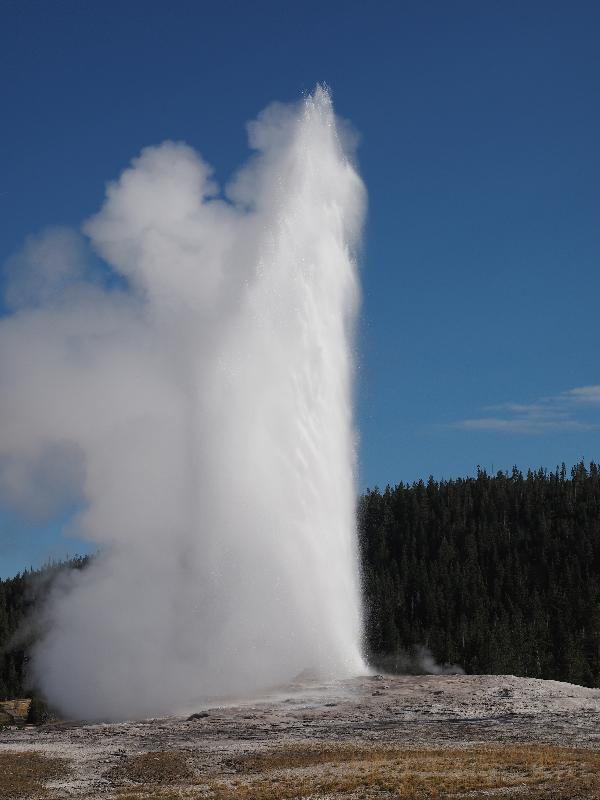 Yellowstone National Park, Wyoming (WY): Upper Geyser Basin: Old Faithful spouting