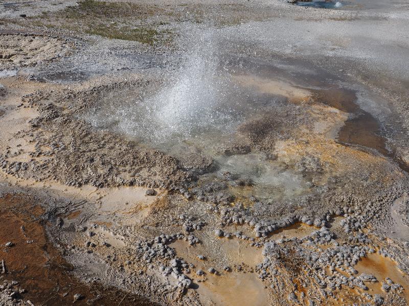 Yellowstone National Park, Wyoming (WY): Upper Geyser Basin: Anemone Geyser spouting