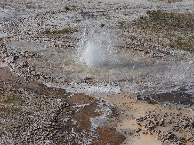 Yellowstone National Park, Wyoming (WY): Upper Geyser Basin: Anemone Geyser sidekick spouting