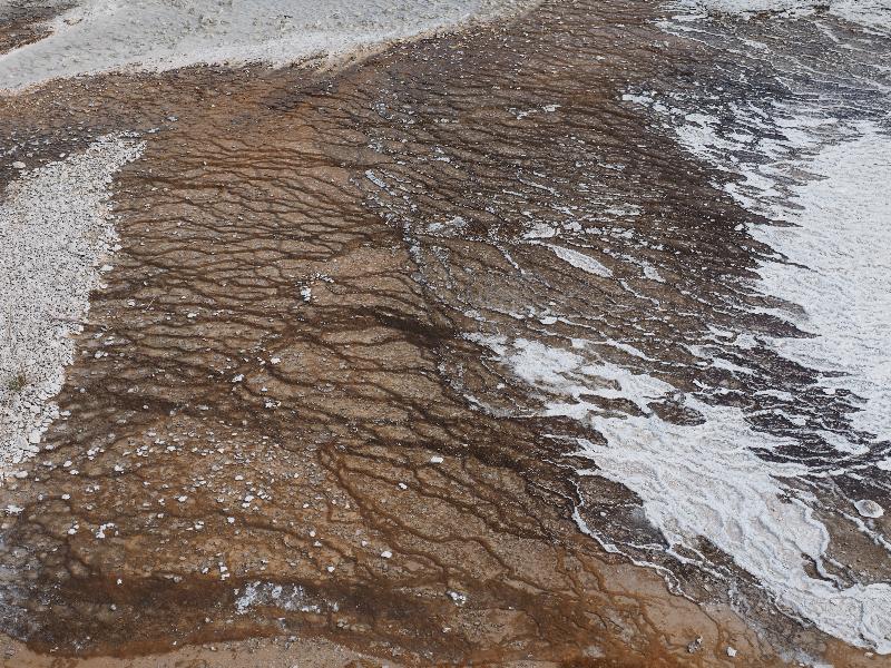 Yellowstone National Park, Wyoming (WY): Upper Geyser Basin: brown and white flow lines