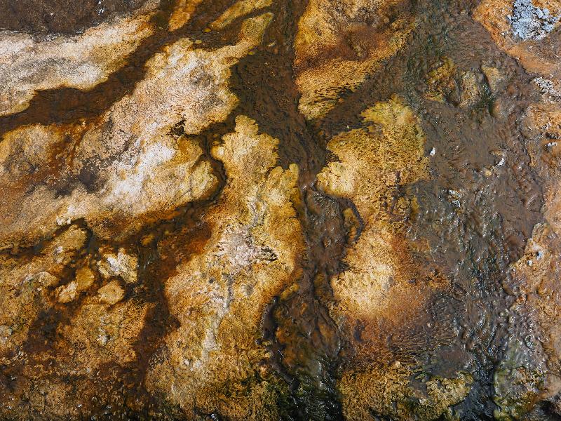 Yellowstone National Park, Wyoming (WY): Upper Geyser Basin: orange / brown bacteria mat