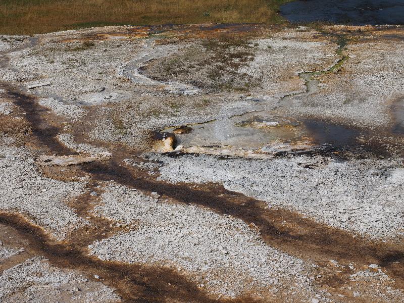 Yellowstone National Park, Wyoming (WY): Upper Geyser Basin: small geyser spouting
