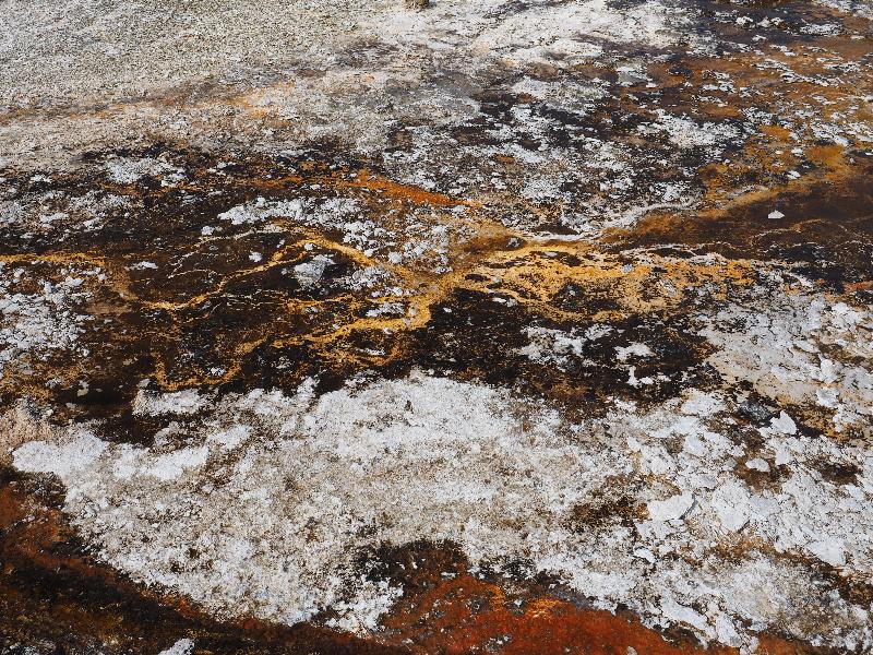 Yellowstone National Park, Wyoming (WY): Upper Geyser Basin: Lion Geyser runoff