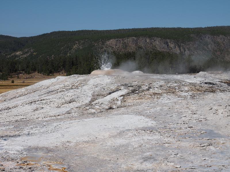 Yellowstone National Park, Wyoming (WY): Upper Geyser Basin: Little Cub bubbling