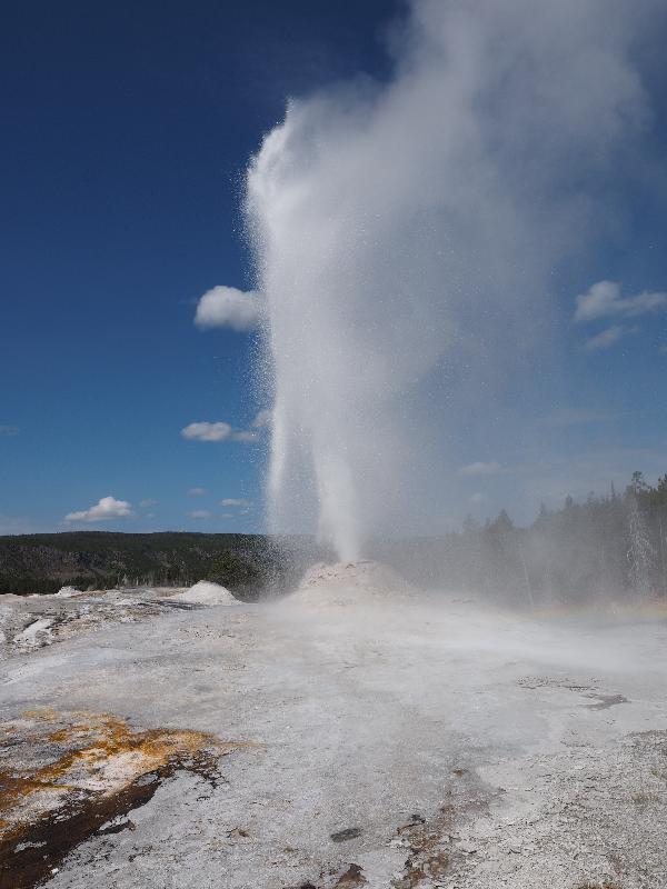 Yellowstone National Park, Wyoming (WY): Upper Geyser Basin: Lion Geyser spouting