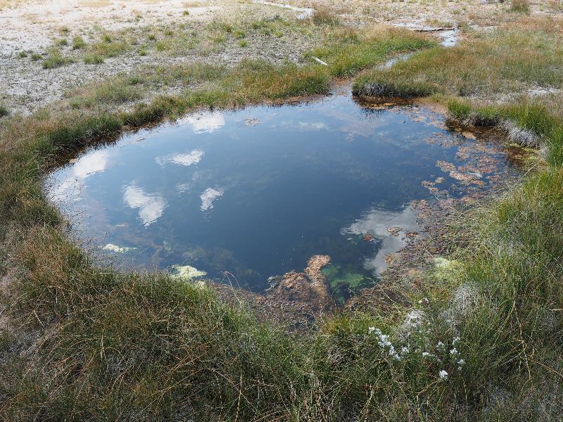 Yellowstone National Park, Wyoming (WY): Upper Geyser Basin: Liberty Pool
