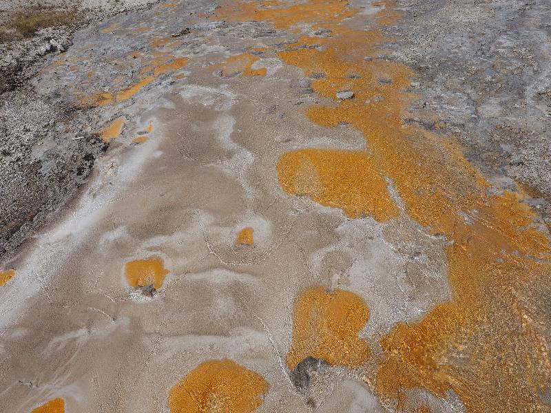Yellowstone National Park, Wyoming (WY): Upper Geyser Basin: runoff from Grand Geyser