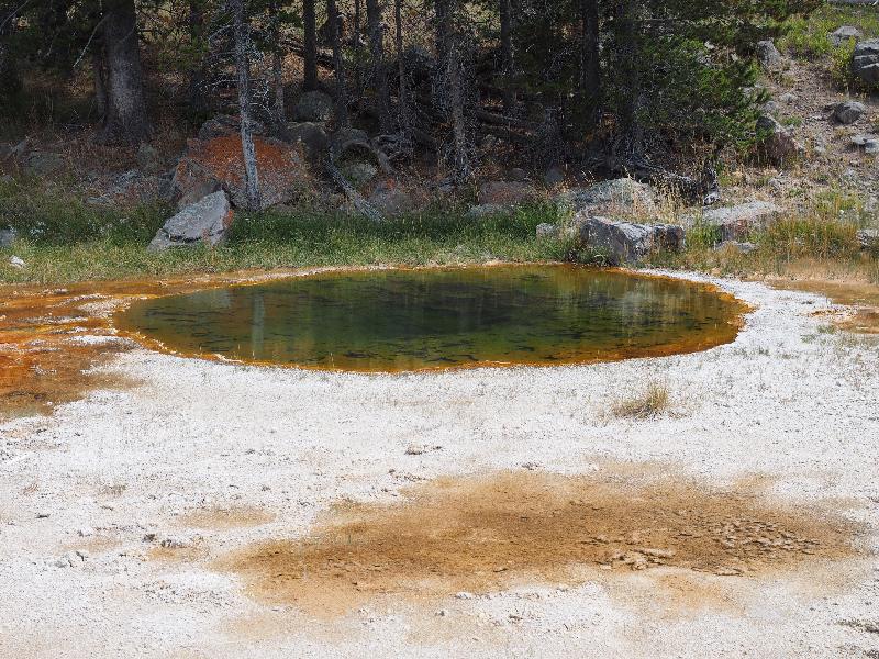 Yellowstone National Park, Wyoming (WY): Upper Geyser Basin: East Economic Geyser (not spouting)
