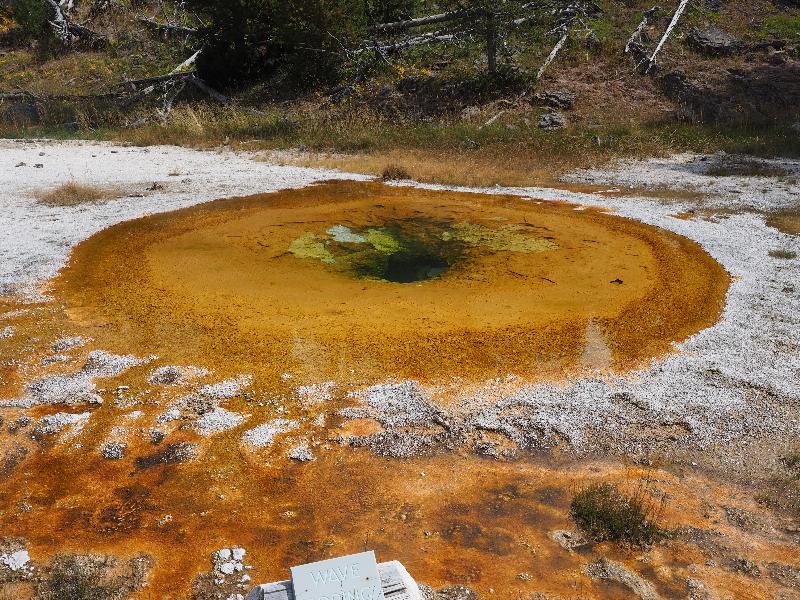 Yellowstone National Park, Wyoming (WY): Upper Geyser Basin: Wave Spring