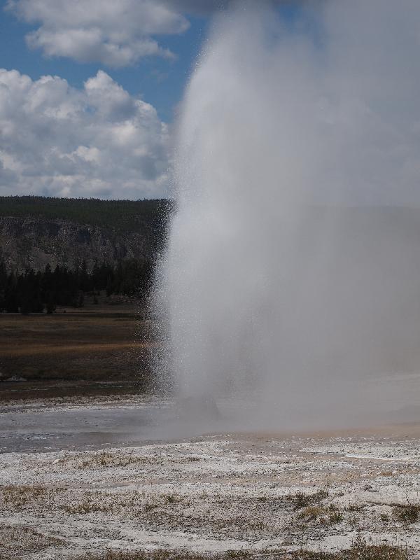 Yellowstone National Park, Wyoming (WY): Upper Geyser Basin: Beehive spouting