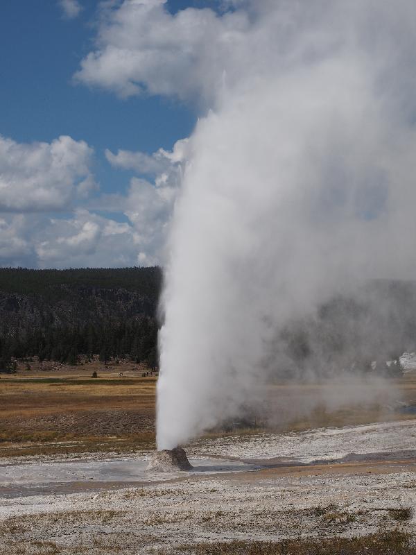 Yellowstone National Park, Wyoming (WY): Upper Geyser Basin: Beehive steaming