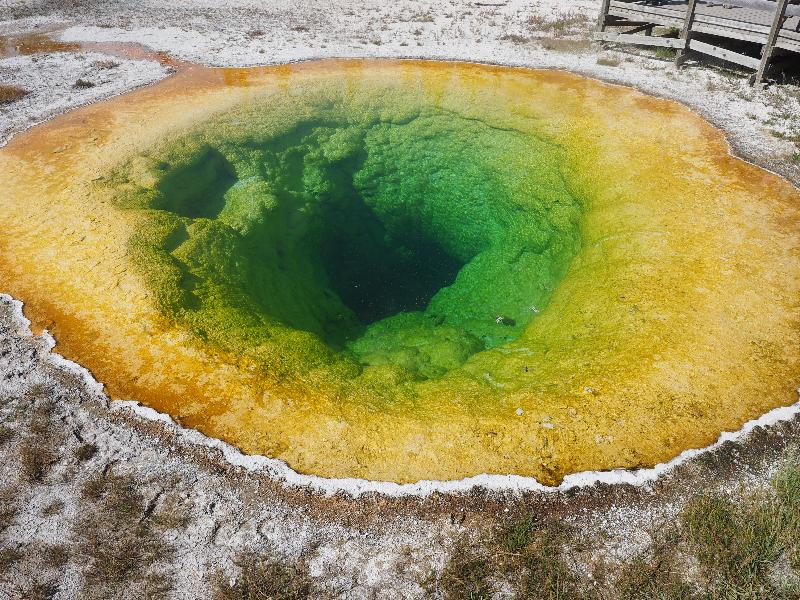Yellowstone National Park, Wyoming (WY): Upper Geyser Basin: Morning Glory Pool