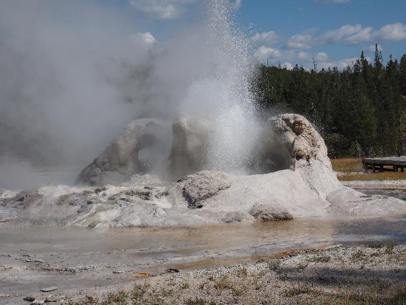 Yellowstone National Park, Wyoming (WY): Upper Geyser Basin: Grotto Geyser spouting
