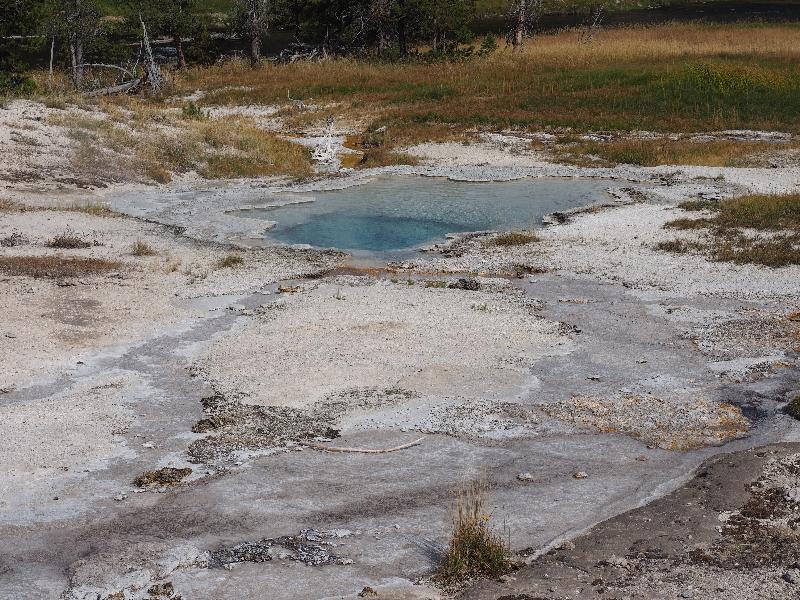 Yellowstone National Park, Wyoming (WY): Upper Geyser Basin: Variable Spring