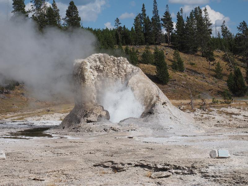 Yellowstone National Park, Wyoming (WY): Upper Geyser Basin: Giant Geyser bubbling