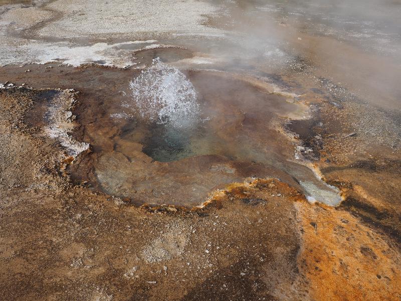 Yellowstone National Park, Wyoming (WY): Black Sand Basin: Cinnamon Spouter spouting
