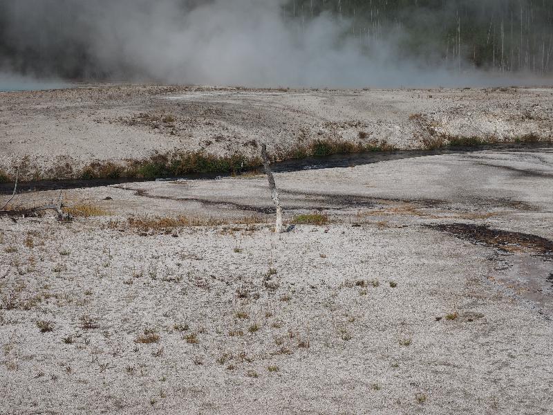 Yellowstone National Park, Wyoming (WY): Black Sand Basin: view over white ground