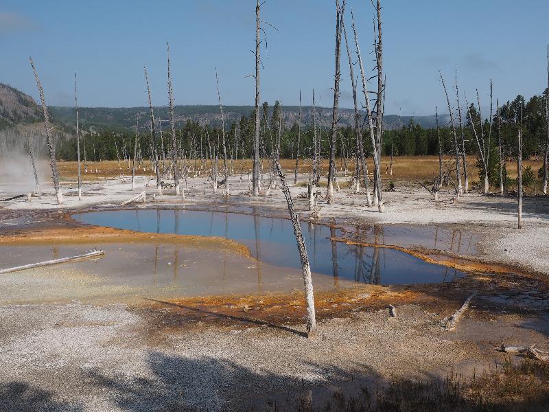 Yellowstone National Park, Wyoming (WY): Black Sand Basin: Opalescent Pool
