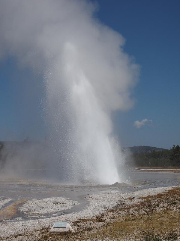 Yellowstone National Park, Wyoming (WY): Upper Geyser Basin: Daisy Geyser spouting