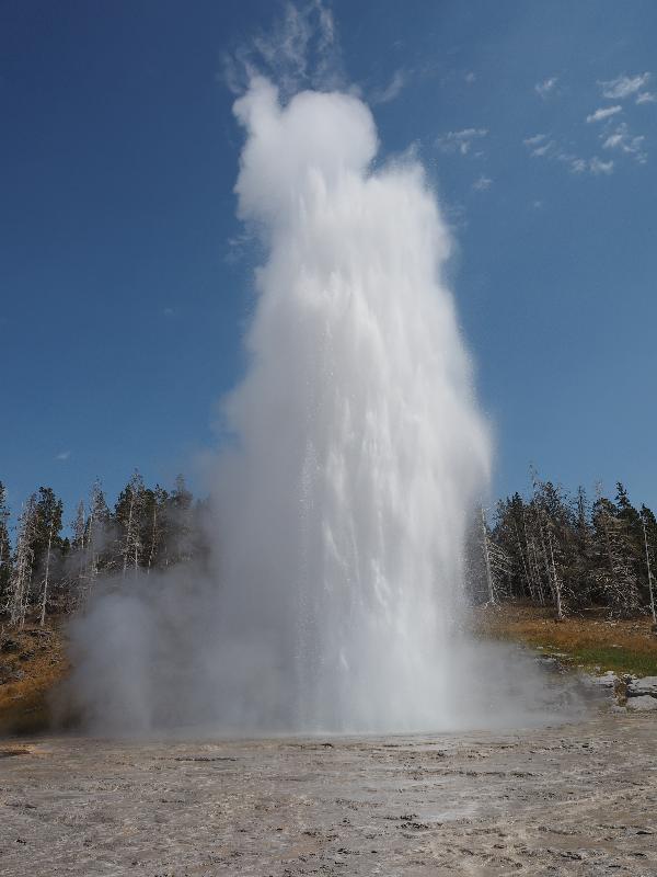 Yellowstone National Park, Wyoming (WY): Upper Geyser Basin: Grand Geyser spouting