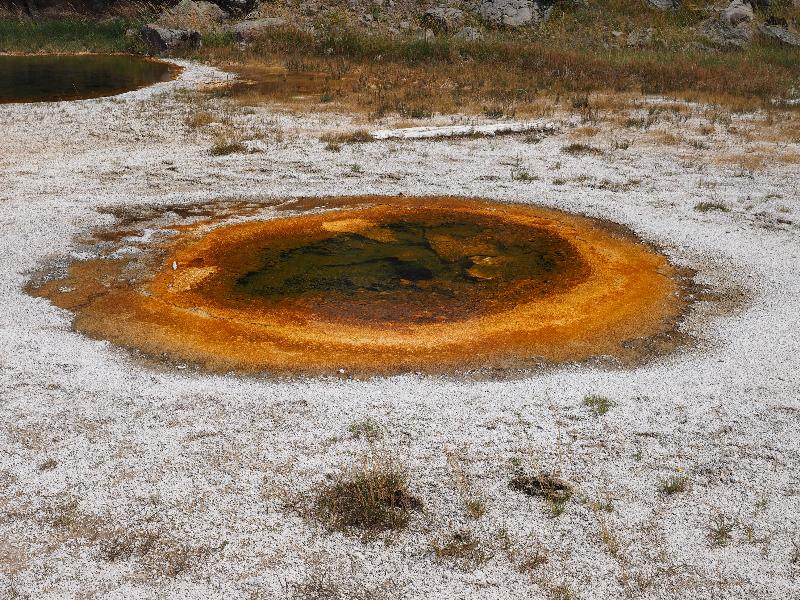Yellowstone National Park, Wyoming (WY): Upper Geyser Basin: Economic Geyser (not spouting)