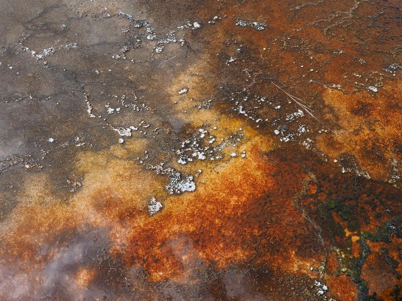 Yellowstone National Park, Wyoming (WY): Upper Geyser Basin: orange bacteria in water