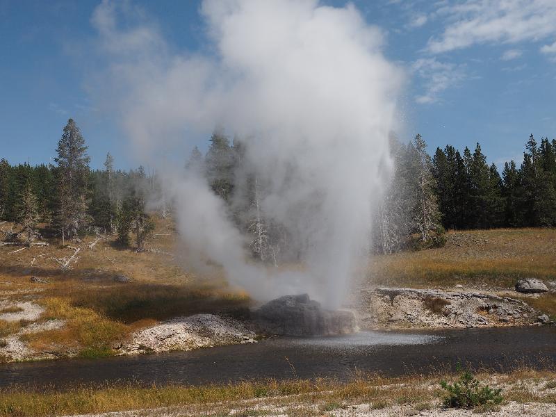 Yellowstone National Park, Wyoming (WY): Upper Geyser Basin: Riverside Geyser spouting