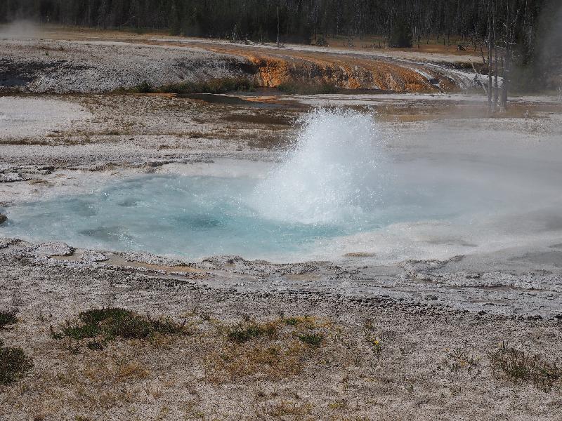 Yellowstone National Park, Wyoming (WY): Black Sand Basin: Spouter Geyser spouting