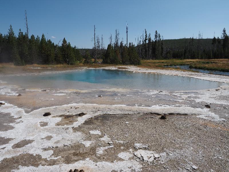 Yellowstone National Park, Wyoming (WY): Black Sand Basin: Green Spring