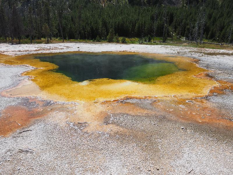 Yellowstone National Park, Wyoming (WY): Black Sand Basin: Emerald Pool