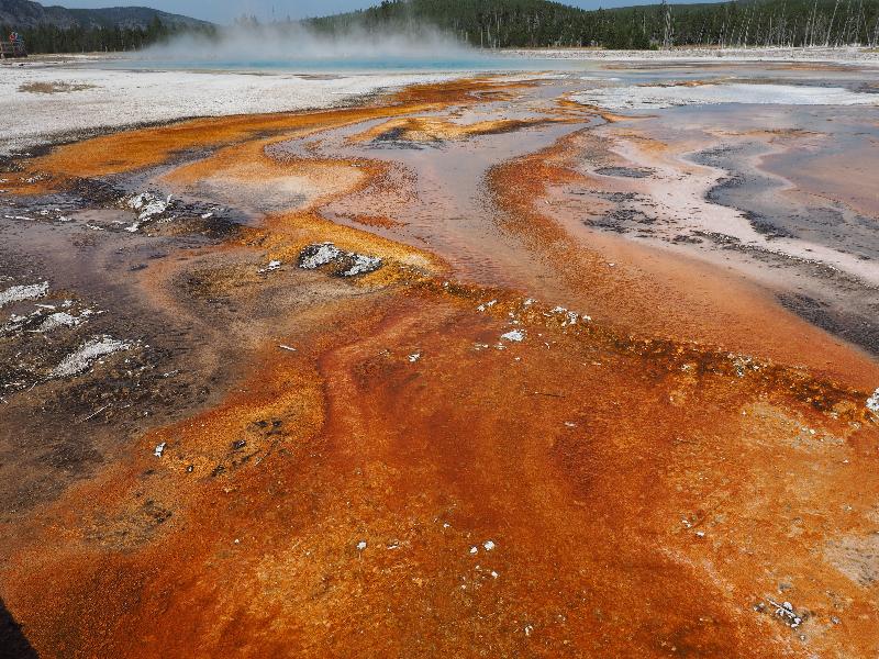 Yellowstone National Park, Wyoming (WY): Black Sand Basin: orange runoff